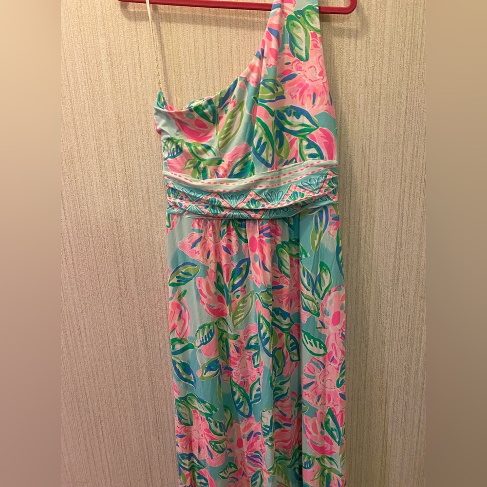 NWT Lily One Shoulder Maxi Dress. Fabulous find! Size Large L